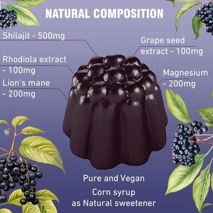 Shilajit Gummies                  (60 Count)