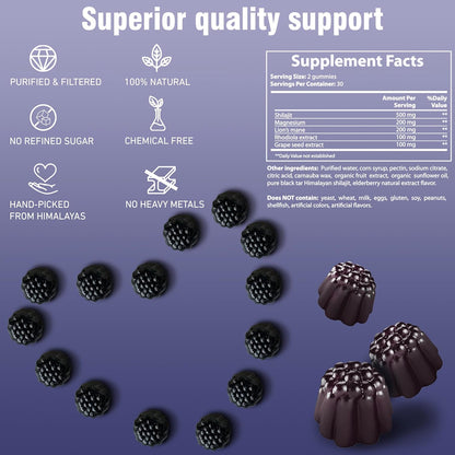 Shilajit Gummies                  (60 Count)